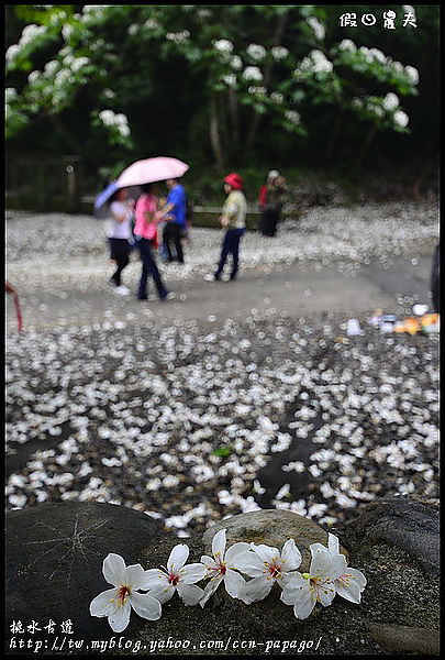 【一桐來做客】一期一會‧挑水古道 @假日農夫愛趴趴照