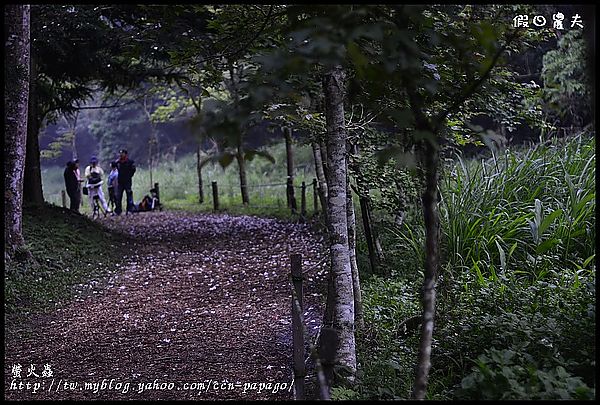 螢火蟲|中部及嘉義地區賞螢景點懶人包/鹿谷三生緣區/鳳凰谷鳥園/頭社水庫/內有拍攝技巧 @假日農夫愛趴趴照