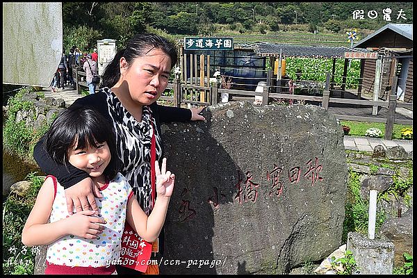 【台北景點】花卉試驗中心賞櫻花‧竹子湖賞海芋 @假日農夫愛趴趴照