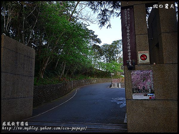 【農夫愛賞花】櫻花隧道‧台大實驗林鳳凰自然教育園區 @假日農夫愛趴趴照