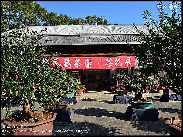 【農夫愛賞花】櫻花隧道‧台大實驗林鳳凰自然教育園區 @假日農夫愛趴趴照