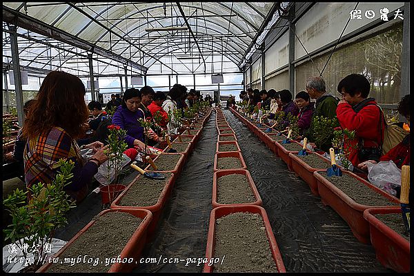 【彰化景點】走春好所在‧彰化溪州公園 @假日農夫愛趴趴照