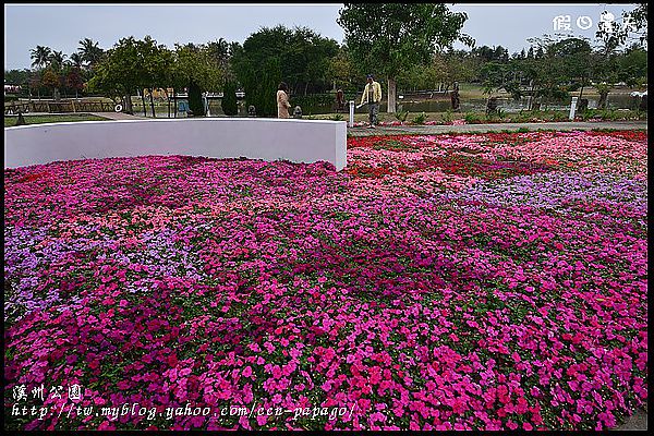 【彰化景點】走春好所在‧彰化溪州公園 @假日農夫愛趴趴照