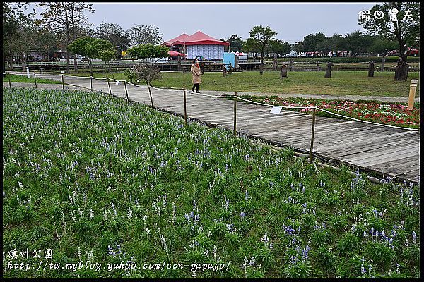 【彰化景點】走春好所在‧彰化溪州公園 @假日農夫愛趴趴照