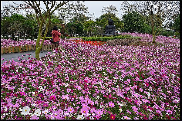 【彰化景點】走春好所在‧彰化溪州公園 @假日農夫愛趴趴照