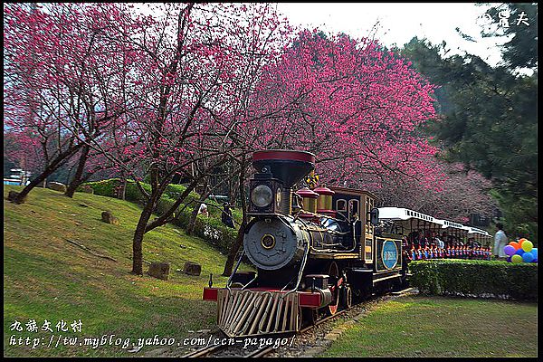 【南投景點】航海王樂園‧櫻花祭‧九族文化村 @假日農夫愛趴趴照