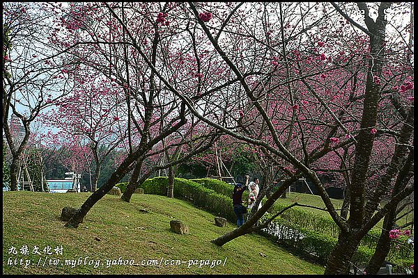 【南投景點】航海王樂園‧櫻花祭‧九族文化村 @假日農夫愛趴趴照