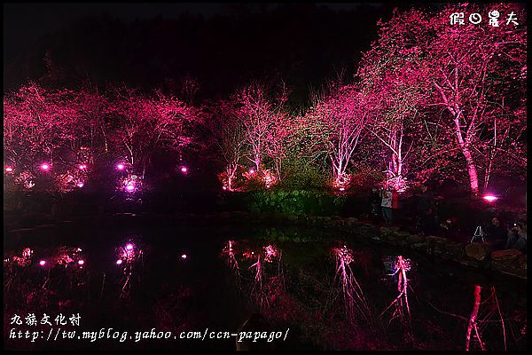 【南投景點】航海王樂園‧櫻花祭‧九族文化村 @假日農夫愛趴趴照