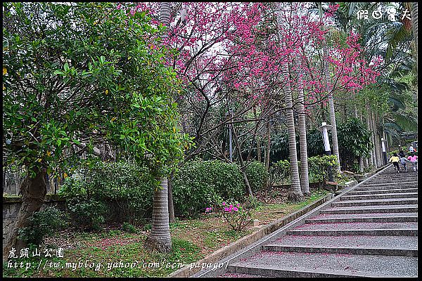 【桃園景點】可愛的貓頭鷹樹屋‧虎頭山公園 @假日農夫愛趴趴照