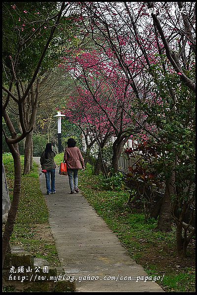 【桃園景點】可愛的貓頭鷹樹屋‧虎頭山公園 @假日農夫愛趴趴照