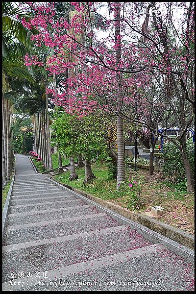 【桃園景點】可愛的貓頭鷹樹屋‧虎頭山公園 @假日農夫愛趴趴照