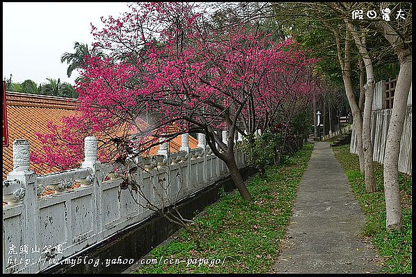 【桃園景點】可愛的貓頭鷹樹屋‧虎頭山公園 @假日農夫愛趴趴照