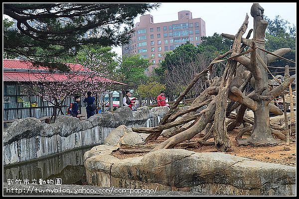 【新竹景點】新竹市立動物園．意外的賞櫻點 @假日農夫愛趴趴照