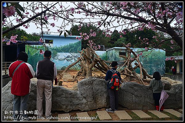 【新竹景點】新竹市立動物園．意外的賞櫻點 @假日農夫愛趴趴照