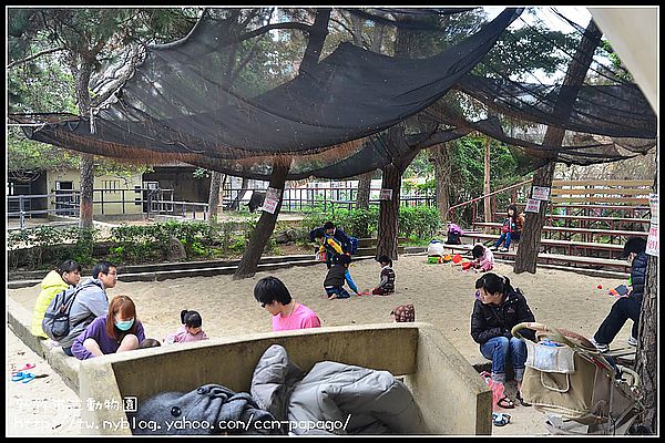 【新竹景點】新竹市立動物園．意外的賞櫻點 @假日農夫愛趴趴照