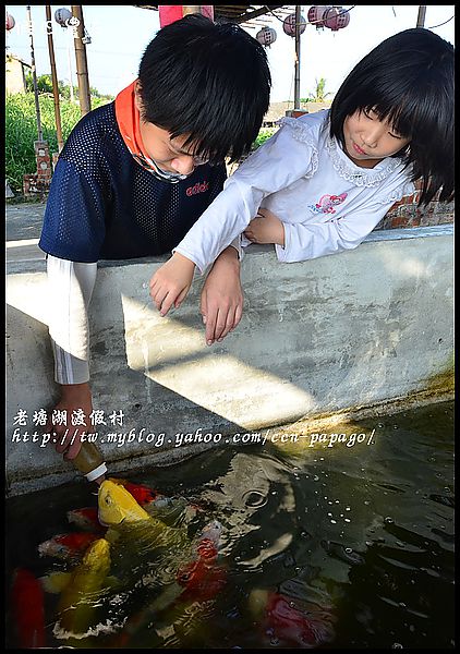 【台南景點】懷舊仿古‧老塘湖藝術村/一日遊/親子遊 @假日農夫愛趴趴照