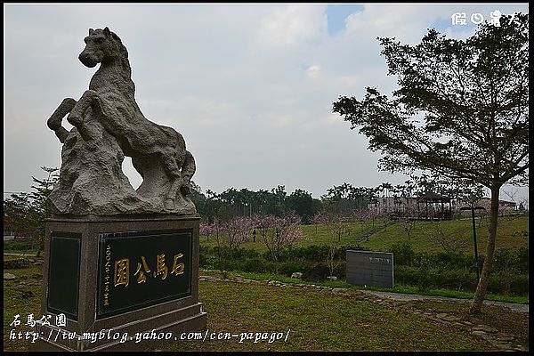 【農夫愛賞花】石馬公園河津櫻＆貓羅溪堤防風鈴木 @假日農夫愛趴趴照