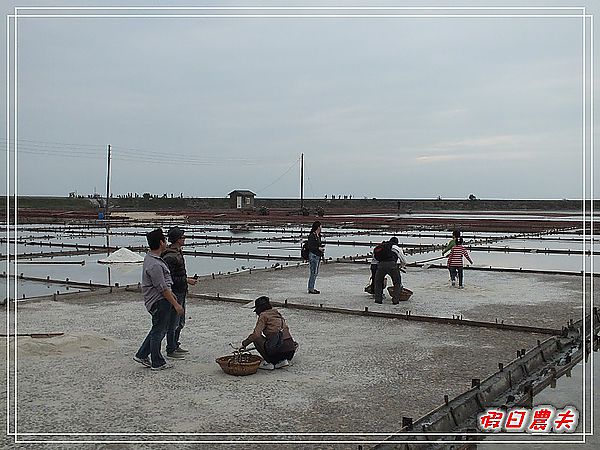 【台南景點】百人跳拍＆山豬趴‧井仔腳鹽田 @假日農夫愛趴趴照