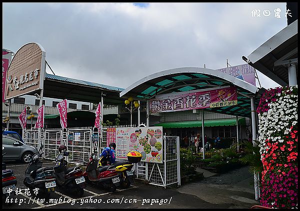 【農夫愛賞花】中社花市‧賞鬱金香不用去荷蘭 @假日農夫愛趴趴照