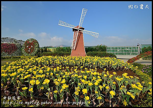 【農夫愛賞花】中社花市‧賞鬱金香不用去荷蘭 @假日農夫愛趴趴照