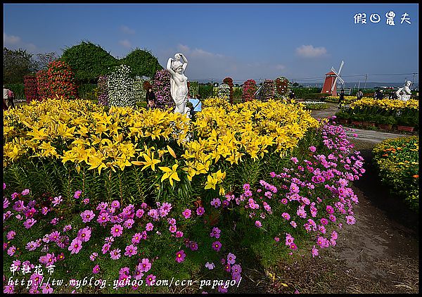 【農夫愛賞花】中社花市‧賞鬱金香不用去荷蘭 @假日農夫愛趴趴照