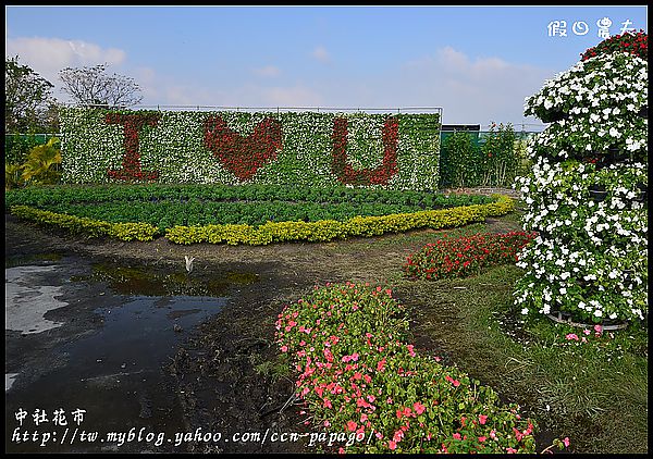 【農夫愛賞花】中社花市‧賞鬱金香不用去荷蘭 @假日農夫愛趴趴照