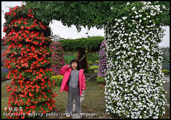 【農夫愛賞花】中社花市‧賞鬱金香不用去荷蘭 @假日農夫愛趴趴照