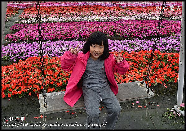 【農夫愛賞花】中社花市‧賞鬱金香不用去荷蘭 @假日農夫愛趴趴照