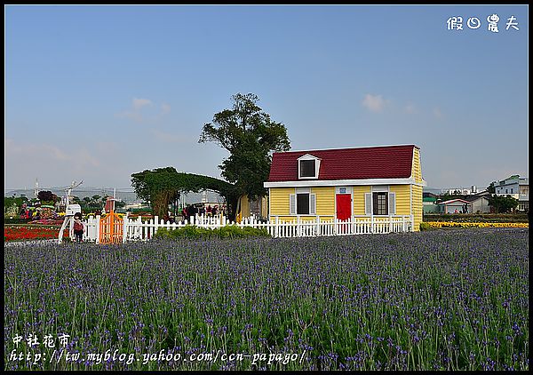 【農夫愛賞花】中社花市‧賞鬱金香不用去荷蘭 @假日農夫愛趴趴照