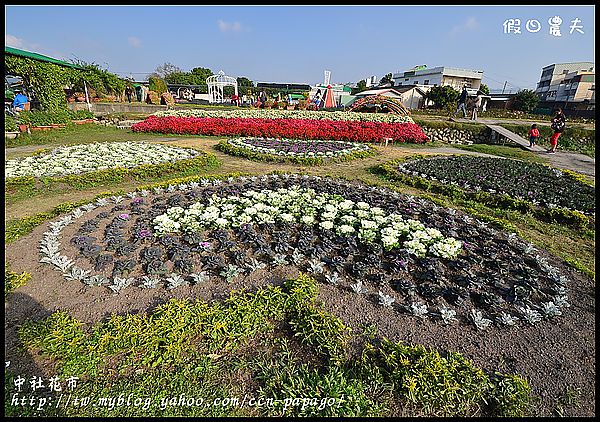 【農夫愛賞花】中社花市‧賞鬱金香不用去荷蘭 @假日農夫愛趴趴照