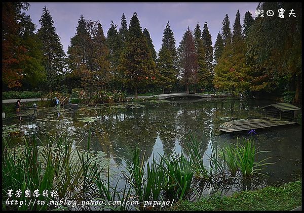 【彰化景點】色彩繽紛‧田尾菁芳園＆大村雙心池塘 @假日農夫愛趴趴照