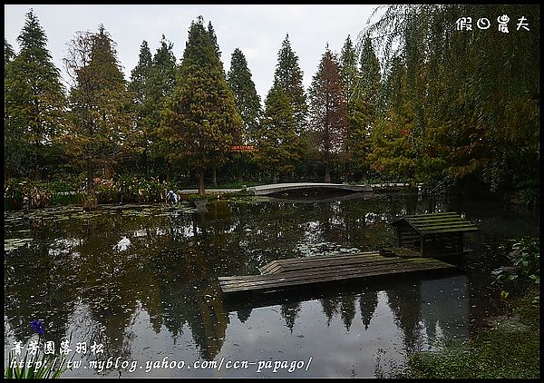 【彰化景點】色彩繽紛‧田尾菁芳園＆大村雙心池塘 @假日農夫愛趴趴照