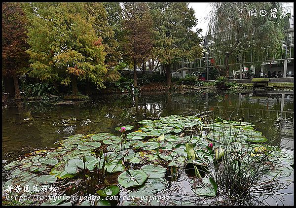 【彰化景點】色彩繽紛‧田尾菁芳園＆大村雙心池塘 @假日農夫愛趴趴照