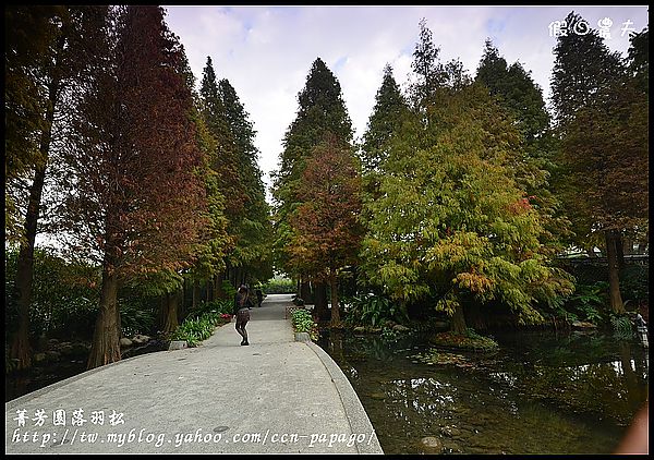 【彰化景點】色彩繽紛‧田尾菁芳園＆大村雙心池塘 @假日農夫愛趴趴照