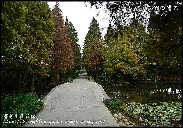 【彰化景點】色彩繽紛‧田尾菁芳園＆大村雙心池塘 @假日農夫愛趴趴照