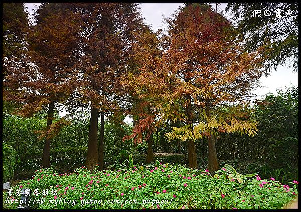 【彰化景點】色彩繽紛‧田尾菁芳園＆大村雙心池塘 @假日農夫愛趴趴照