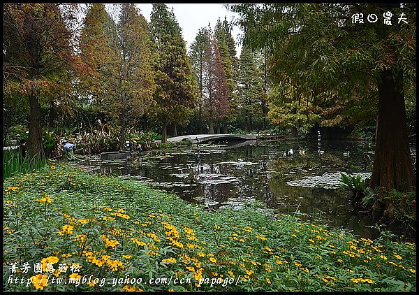 【彰化景點】色彩繽紛‧田尾菁芳園＆大村雙心池塘 @假日農夫愛趴趴照