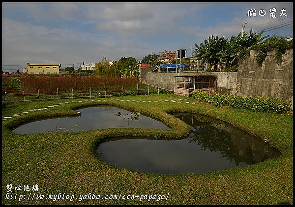 【彰化景點】色彩繽紛‧田尾菁芳園＆大村雙心池塘 @假日農夫愛趴趴照