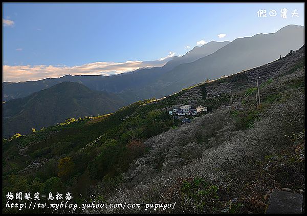 【農夫愛賞花】梅開眼笑‧烏松崙石家梅園 @假日農夫愛趴趴照