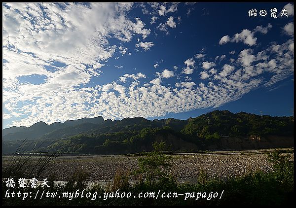 【農夫愛賞花】賞梅秘境‧仁愛鄉中原部落互助國小旁梅園+高快速公路8景第一名‧橋聳雲天 @假日農夫愛趴趴照