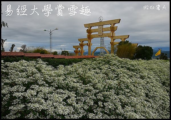 【南投旅遊】易經大學‧南天門‧白雪木 @假日農夫愛趴趴照