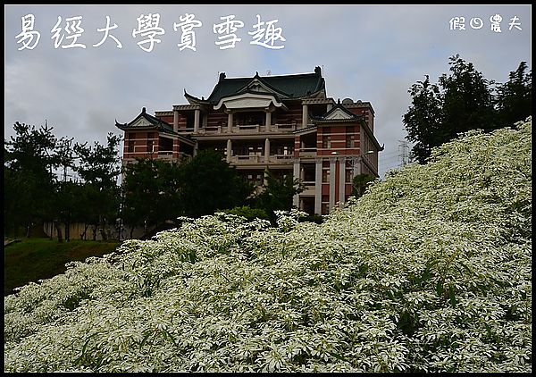 【南投旅遊】易經大學‧南天門‧白雪木 @假日農夫愛趴趴照