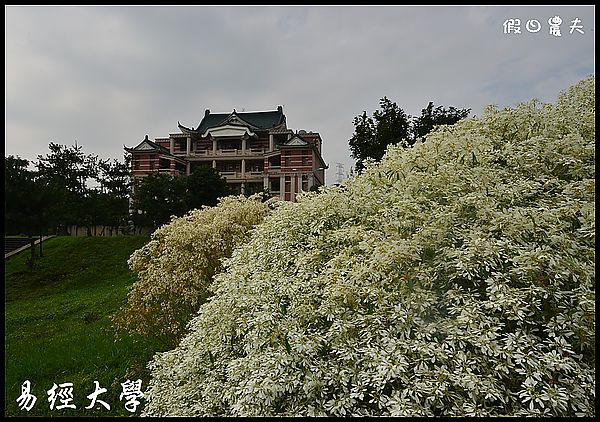 【南投旅遊】易經大學‧南天門‧白雪木 @假日農夫愛趴趴照