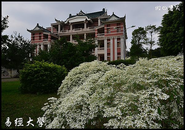 【南投旅遊】易經大學‧南天門‧白雪木 @假日農夫愛趴趴照