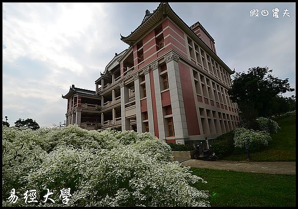 【南投旅遊】易經大學‧南天門‧白雪木 @假日農夫愛趴趴照