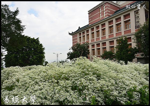 【南投旅遊】易經大學‧南天門‧白雪木 @假日農夫愛趴趴照