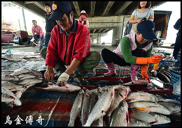 【烏魚子故鄉】口湖烏金傳奇之夜 @假日農夫愛趴趴照