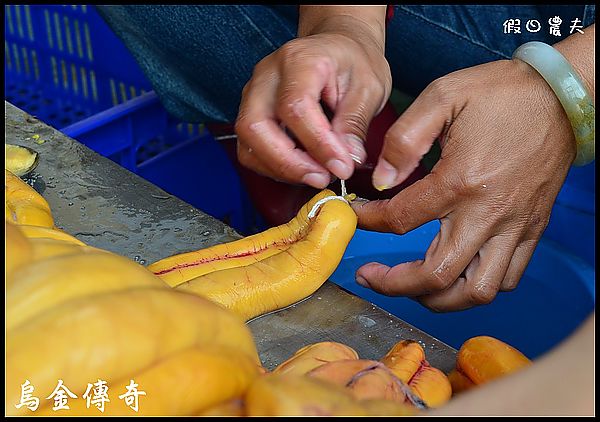 【烏魚子故鄉】口湖烏金傳奇之夜 @假日農夫愛趴趴照