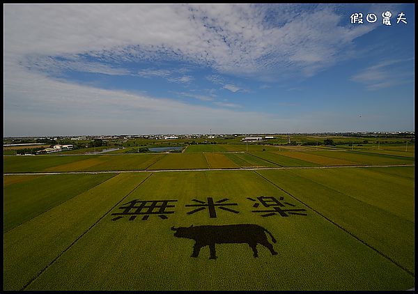 【台灣之美】外星人的傑作？莿桐、苑裡、後壁都有彩繪稻田 @假日農夫愛趴趴照