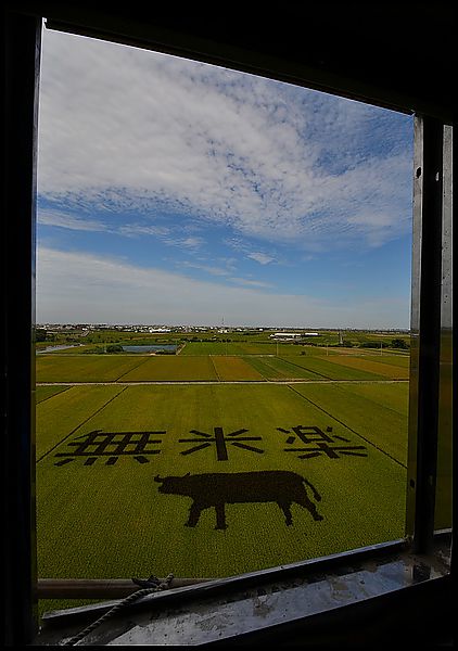 【台灣之美】外星人的傑作？莿桐、苑裡、後壁都有彩繪稻田 @假日農夫愛趴趴照